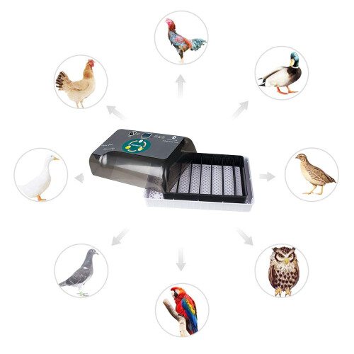 Automatic Egg Incubator 12‑35 Eggs with Digital Temperature Control, Small Poultry Hatcher for Chicken Duck Quail 1