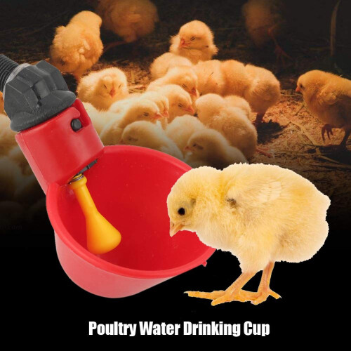 10 Pack Automatic Chicken Water Cups Poultry Waterer with Auto Release, Easy Mounting and Durable Build 1