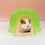 Transparent Hamster Sand Bath Container 16x14x9cm 14
