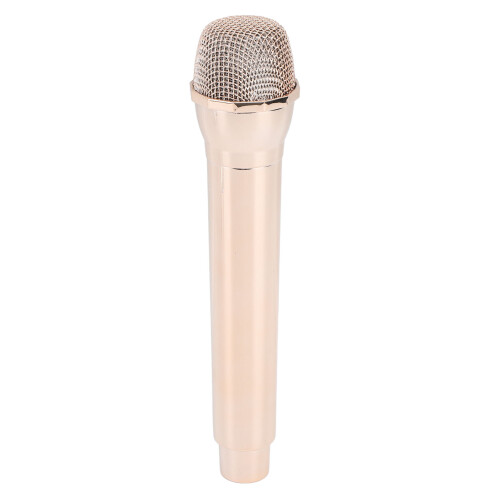 Fake Microphone Prop ABS 61g Kids Speech Toy