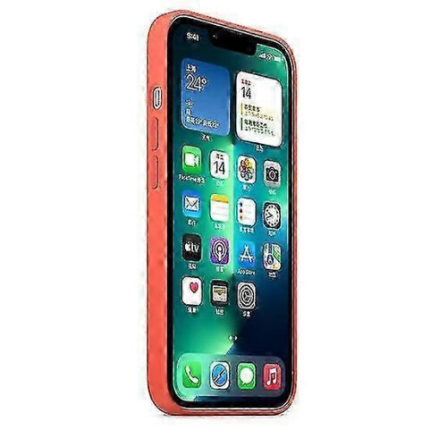 (Nectarine) Silicone Case With Magsafe For Iphone 13 Pro Phone Case - POP 2