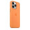 (Marigold) Silicone Case With Magsafe For Iphone 13 Pro Phone Case - POP 2