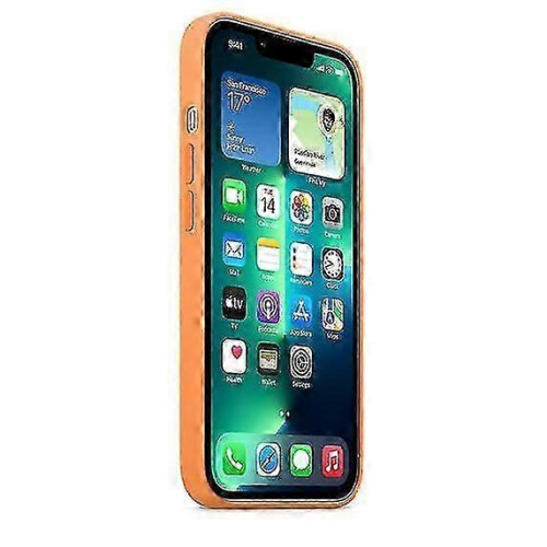 (Marigold) Silicone Case With Magsafe For Iphone 13 Pro Phone Case - POP 2