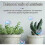 (2pcs) Concentrated All-purpose Fertilizer Ease Plant Food Tw 5