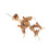 Parrot Wood Blocks Chew Toy - Movable Hooks 14