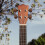 6Pcs Brown Plastic Tuning Button Knobs for Guitar 3
