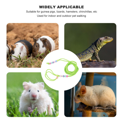 Reptile Traction Leash - Adjustable Beads, Green 2