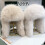 Adjustable Winter Earmuffs Hat with Plush Exterior-Coffee color 5