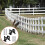 Adjustable Deck Post Anchor Bracket HeavyDuty Metal Base with Adjustable Height for Secure Deck Installation 2