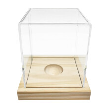 Softball Display Case with Clear Acrylic Visibility and Elegant Wooden Base for Signed Ball Collectibles