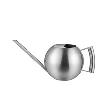 Stainless Steel Watering Can 1L with Precise Long Spout, Durable Compact Design for Indoor Plants