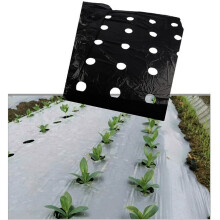 95cm x 10m Black Plastic Mulch Film with Precut Planting Holes, Weed Control Barrier for Vegetables and Greenhouse