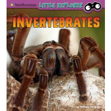 Invertebrates