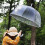 Clear Bubble Umbrella Windproof Automatic Open Waterproof Lightweight 31‑Inch Dome 14‑Piece Set 4