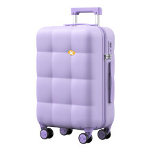 20 Inch Hardside Carry On Luggage with 360 Spinner Wheels TSA Lock Scratch Resistant Purple