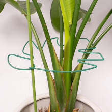 5PCS Monstera Plant Support Stake Set, Durable Metal Frame with Gentle Stem Clips for Indoor Climbing Plants