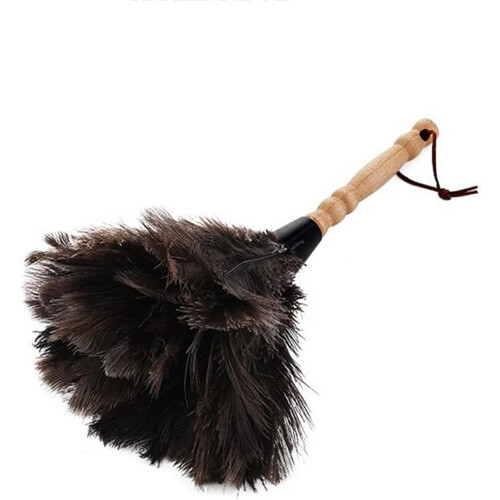 Ostrich Feather Duster with Solid Wood Handle, Hand Dusting Brush for Housework, Ostrich Feather Duster 2