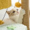 Multifunctional Cat Tree with Durable Scratching Post and Comfortable Curved Perch, SpaceSaving Cat Tower 5