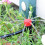 100pcs Drip Emitters 360-Degree Adjustable Red 13cm 3