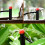 100pcs Drip Emitters 360-Degree Adjustable Red 13cm 6