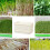 Seed Sprouting Tray with Lid, DualLayer Soil Design and Efficient Drainage for Beans and Wheatgrass 4