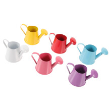 Mini Watering Can Set, Durable Iron Decorative Pots with Easy Pour Spout for Indoor House Plants