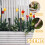 Masteelf  10 Pcs Landscaping Edging Garden Stakes Decorative 3