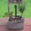 Masteelf  10 Pcs Landscaping Edging Garden Stakes Decorative 6