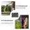 Sfondo Decorativo 3D PU Color Per Terrari E Acquari 3