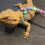 Lizard Walking Leash Sky-Blue Polyester 1pc 3