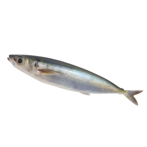 33.50g 15cm appâts de pêche appâts d'impression 3D-un paquet