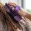 Brosse de nettoyage de cheval Flexible polyvalente, outil de 4
