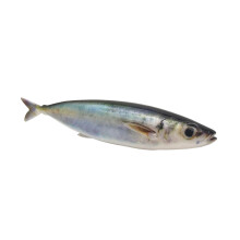33.50g 15cm Fishing Baits Fishing Lures Floating-a pack