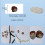8pcs Premiums Silicones Vibration Dampeners Multicolor-mix 5