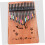 Kalimba Stickers Set for Beginners with Clear Note Labels, Fast Recognition and Easy Learning Aid 5