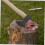 Axe Leather Sheath with Secure Blade Protection, Durable Craftsmanship for Camping and Outdoor Use 3