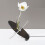 Smooth Acrylic Vase Minimalist Design 1