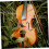 8pcs Rubber Violin Practice Mute Set for Quiet Noise Reduction and Beginner Friendly Use 4