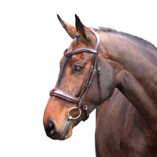 (Pony, Havana) Velociti Lusso Elite Leather Padded Horse Cavesson Bridle