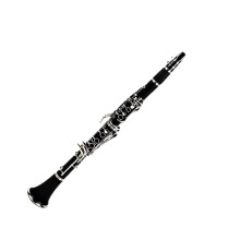 B Flat Clarinet for Adult Beginners with Easy Playability, Stable Tuning Response, ExamReady Performance