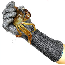 Level 5 Cut Resistant Gloves Stainless Steel Safety Gloves Food Grade Adjustable Wrist Buckles Small