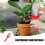 Small Red Stainless Steel Garden Ergonomic Tool for Digging 4