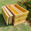 Bee Hive Frame Holder Stainless Steel Beekeeping Frame Rack Triple Capacity Rust‑Resistant Stand 1 Set 4