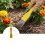 Garden Hand Weeder with Sharp Precision Blade, Ergonomic Finger Control for RootLevel Weed Removal 3