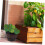 4 Pack PVC Plant Pot Risers for Better Drainage and Airflow, Black LowProfile Support 4
