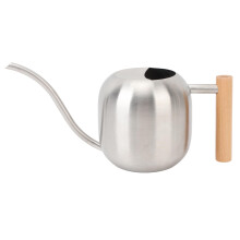 Stainless Steel Watering Can with Long Spout and Wooden Handle for Indoor Outdoor Potted Plants