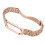 Xiaomi Mi Band 6 Luxury Strap 1