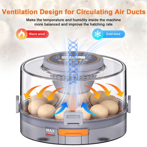 Automatic Egg Incubator 12 Eggs with Humidity Control, Digital Display and 360 Clear View for Chickens Ducks Quails 1