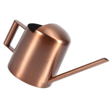 Indoor Plant Watering Can with Long Spout, Ergonomic Grip, Easy Refill for Home Gardening