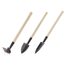 Mini Garden Tool Set 3pcs with Ergonomic Wooden Handles Durable Stainless Steel for Potted Plants